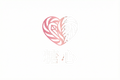 探花